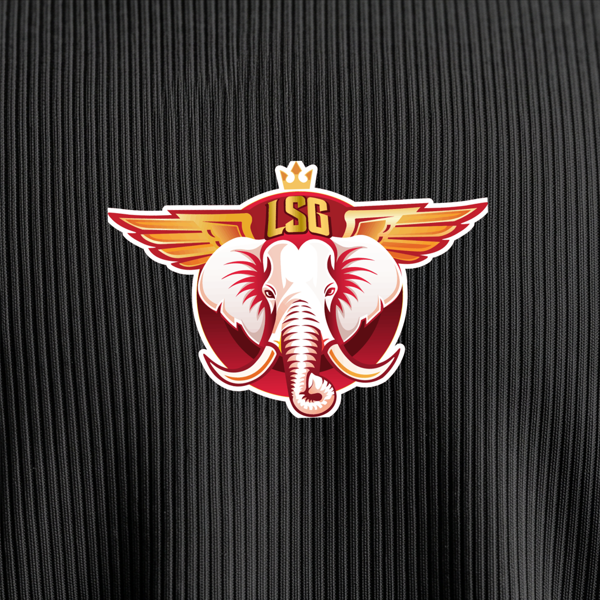 Lucknow Super Giants – IPL Fan Collection